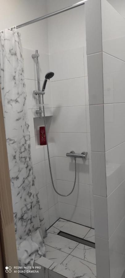 Lilia House Poznan公寓 外观 照片